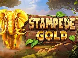 Stampede Gold screenshot